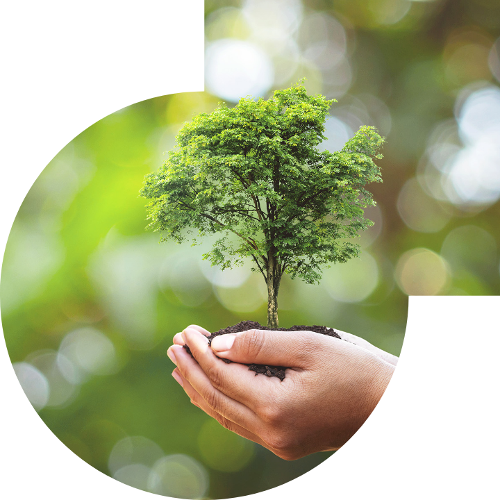 关怀人类、文化、环境与社会